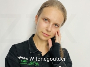 Wilonegoulder