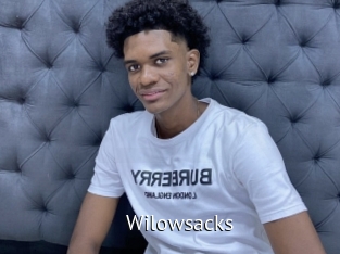 Wilowsacks