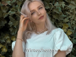 Wintercherrys