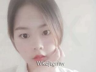 wkdjtgmw Zizi X