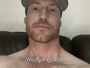 wolfgangpaslode Zizi X