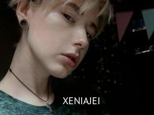 XENIA_JEI