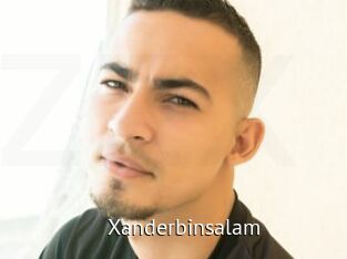 Xanderbinsalam Zizi X
