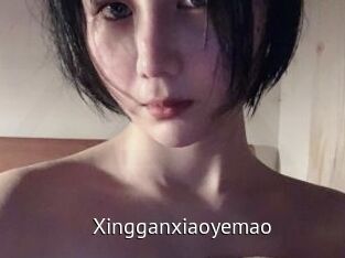 Xingganxiaoyemao