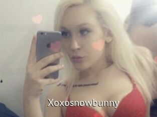 Xoxosnowbunny