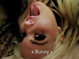 _x_Bunny_x_