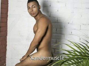 Xandermuscle