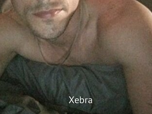 Xebra