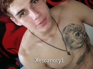 Xescanory1