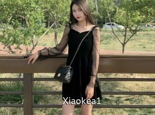 Xiaokea1