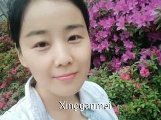 Xingganmei