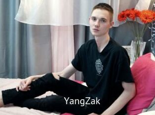 YangZak Zizi X