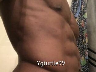 Ygturtle99