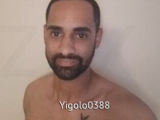 Yigolo0388