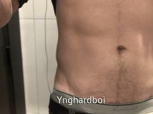 Ynghardboi