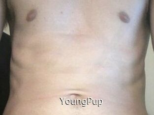 YoungPup