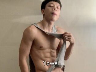 Yowei Zizi X