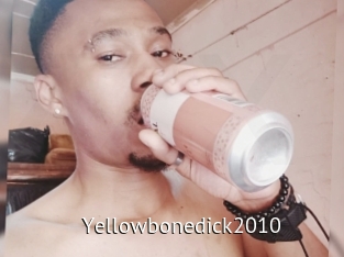 Yellowbonedick2010