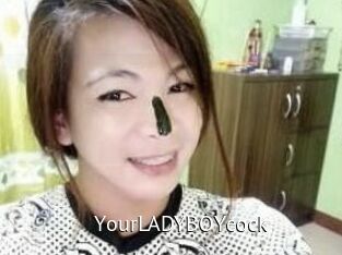 YourLADYBOYcock