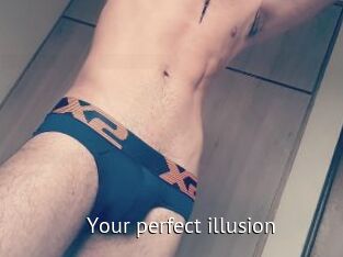 Your_perfect_illusion