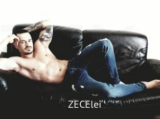 ZECElei