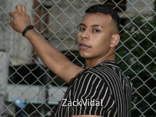 ZackVidal Zizi X