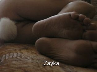 Zayka