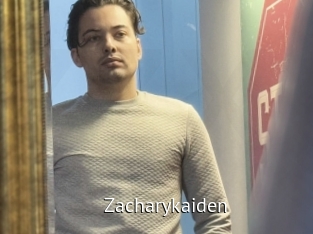 zacharykaiden Zizi X