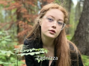 Zadnizza