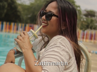 Zattinmartin