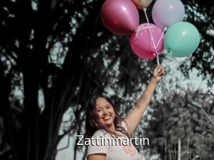 Zattinmartin