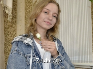 Zeldacatts