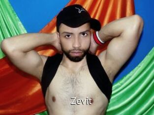 Zevit