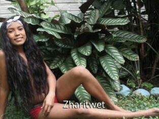 zharitwet Zizi X